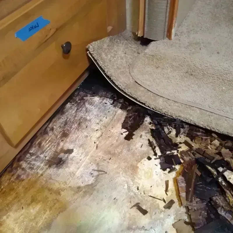 Wood Floor Water Damage in Green Valley, AZ